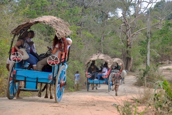 Village Tours